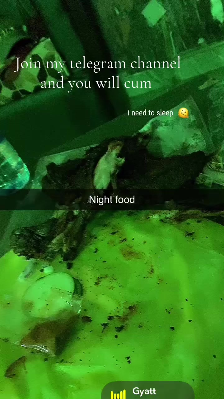 @Cardi b of Ikorodu