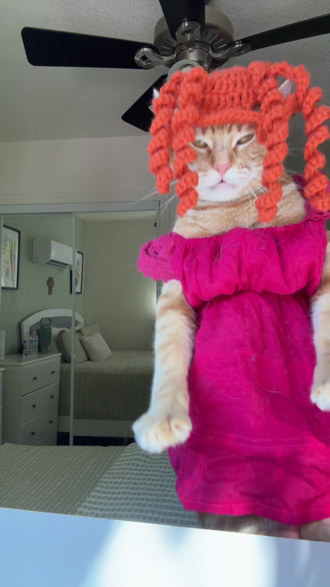 @thedancingcats13