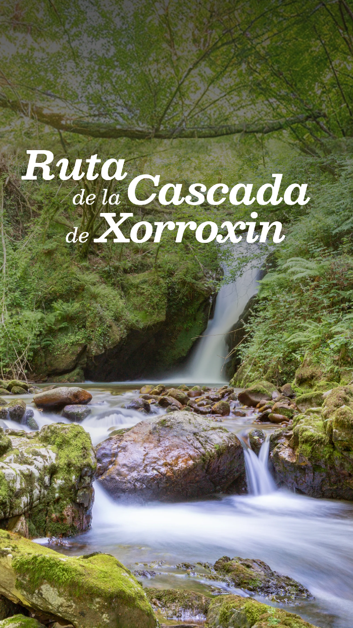 @Visit Navarra