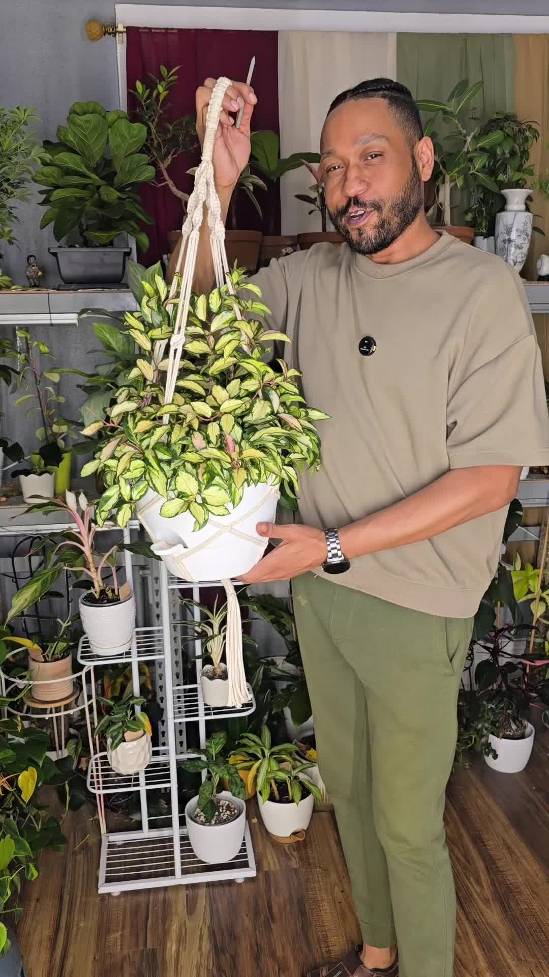 @JT - BigEGOPlants