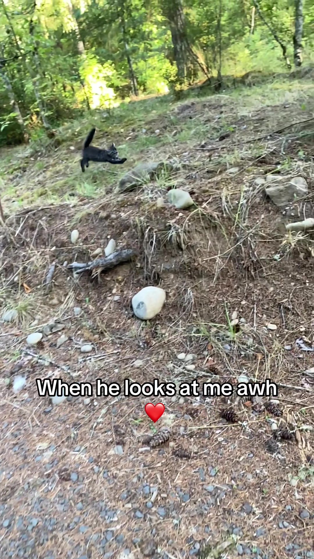 @itsbubblesinthewoods