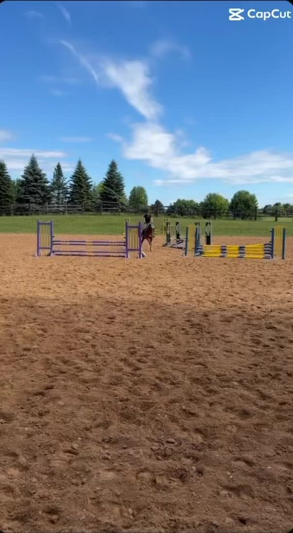 @keria_🌻🏇🏽💕