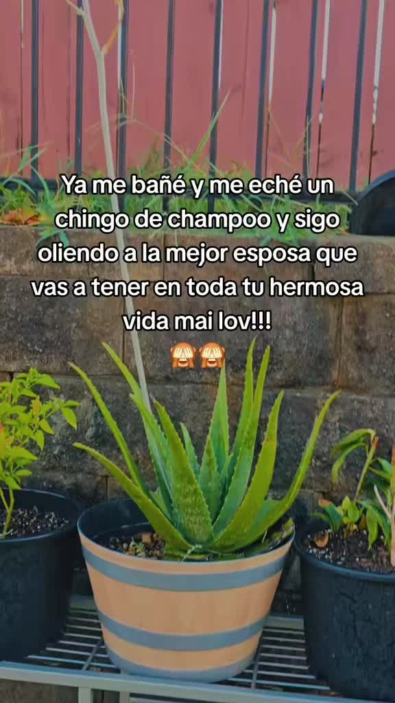 @🌙✨️🦦Yaneth 🐛🦋