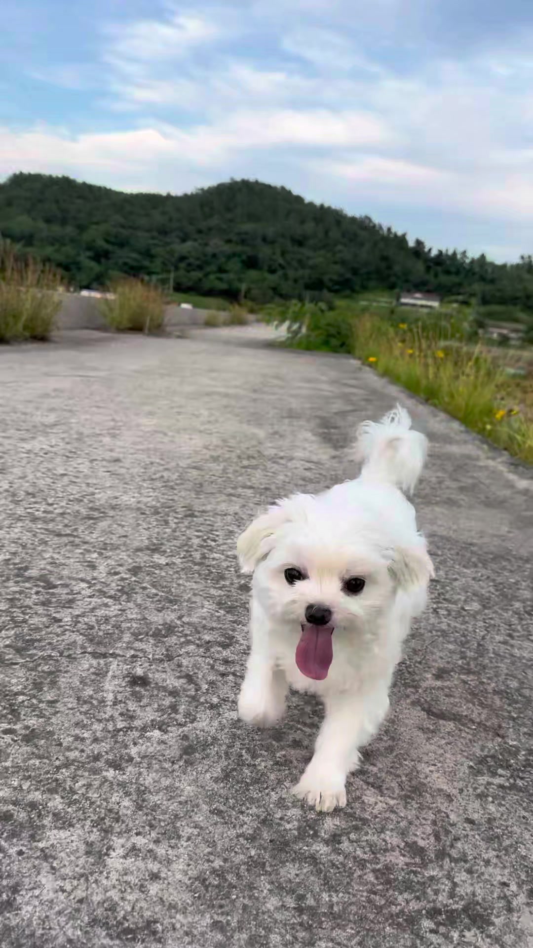 @쪼꼬소예