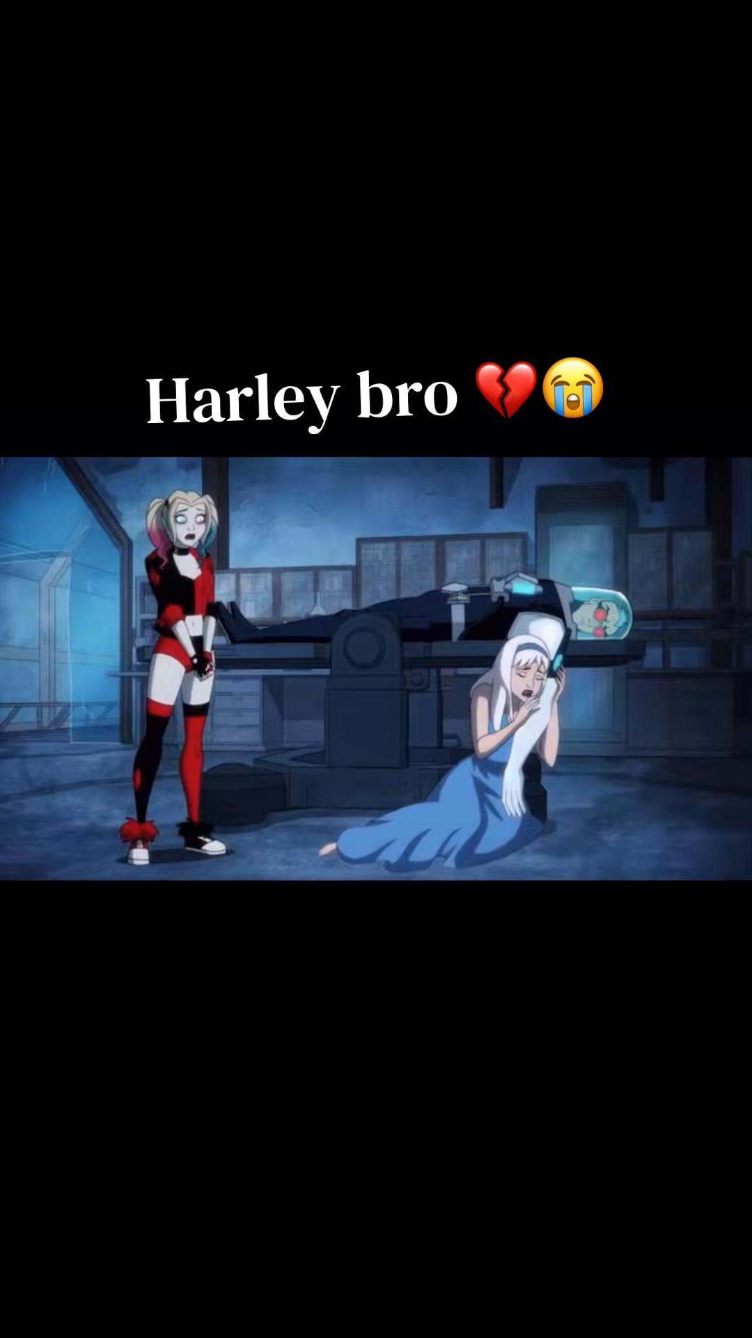@Harley Quinn fan/ glazer❤️🖤♦️