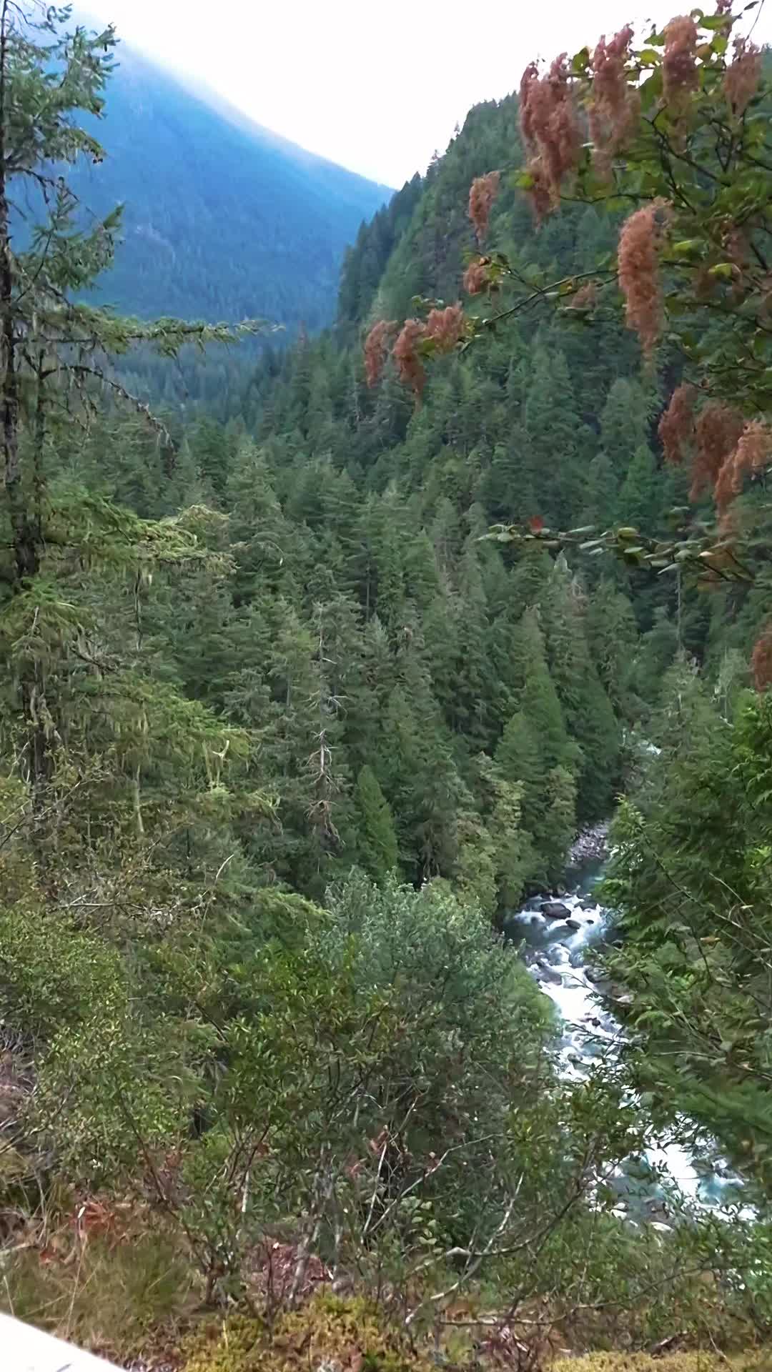 @Nicole🌲🏔🥾|PNW|