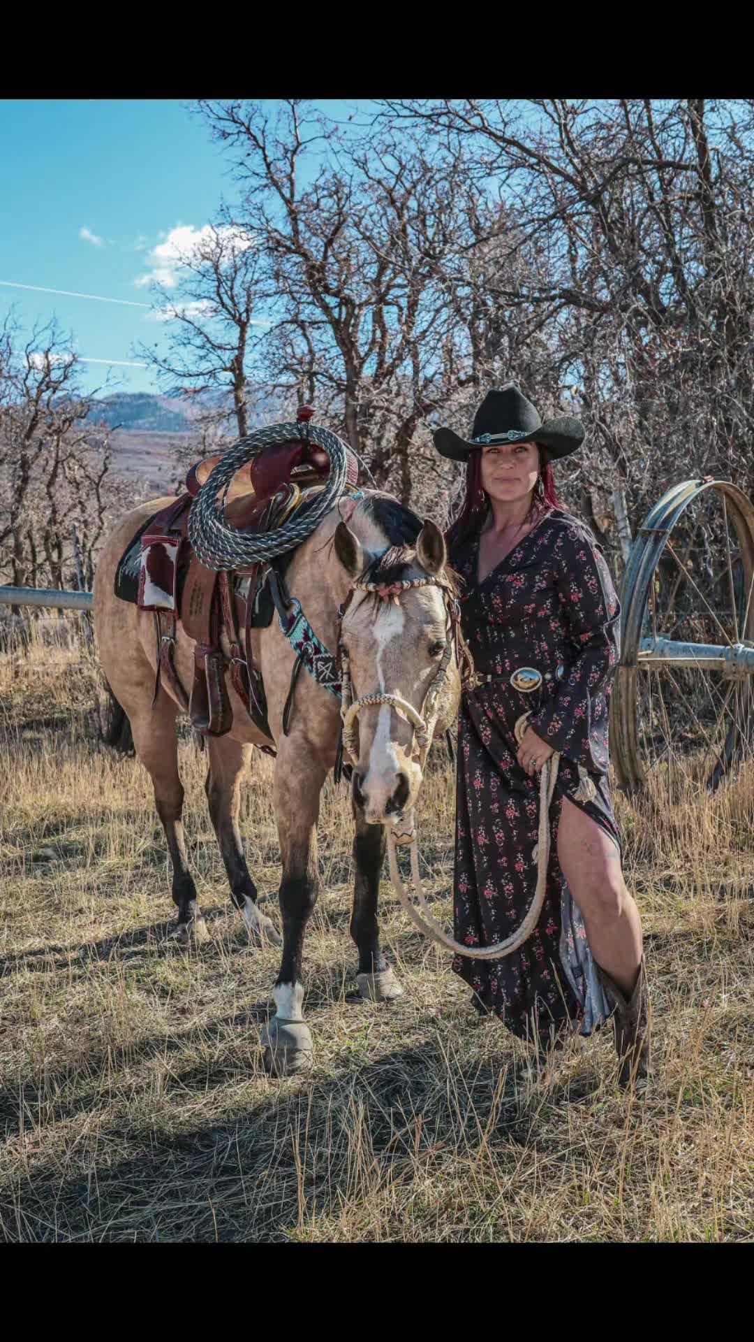 @Olsen Horse & Cattle Co. LLC