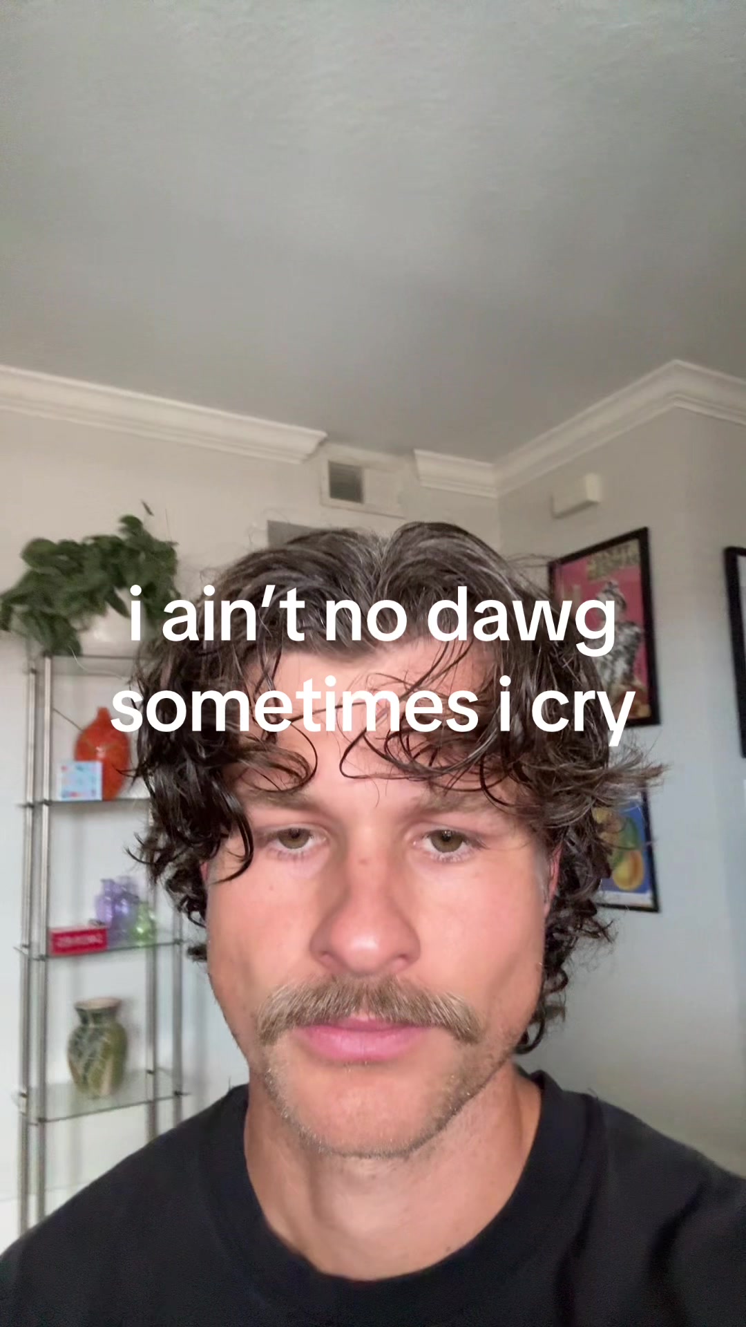 @shane