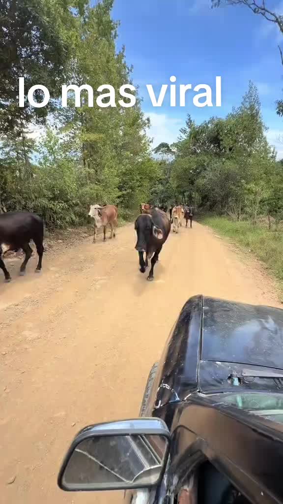 @AVENTURAS Güero03