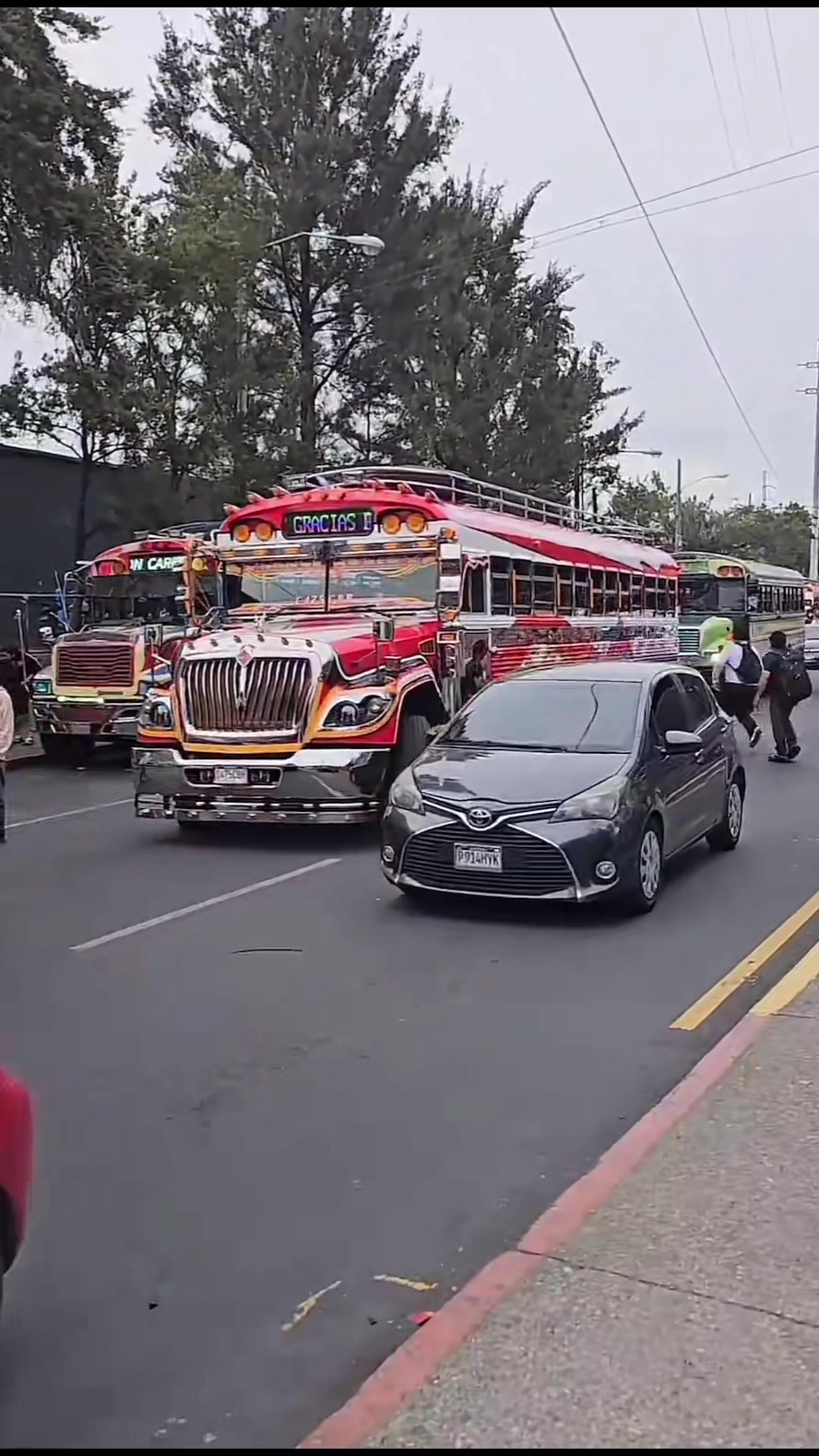@Busesguatemala oficial ๐๐ฌ๐น