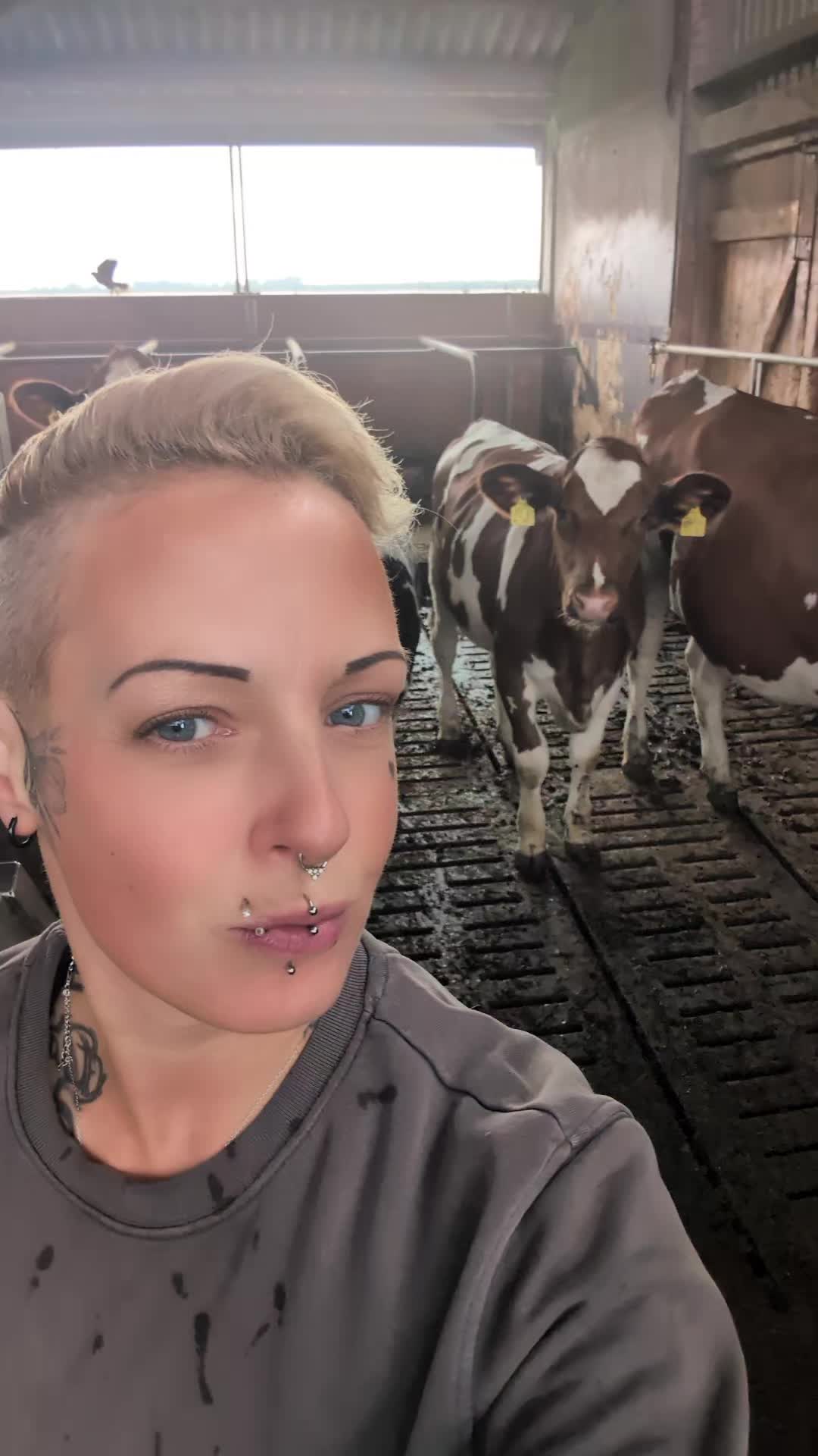 @Tätowierte Melkerin