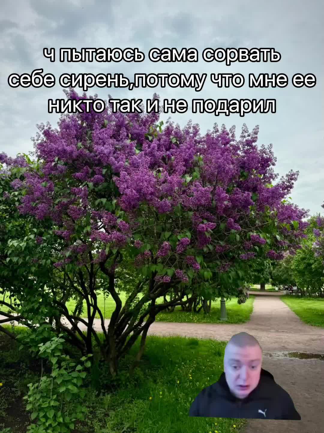 @грустность