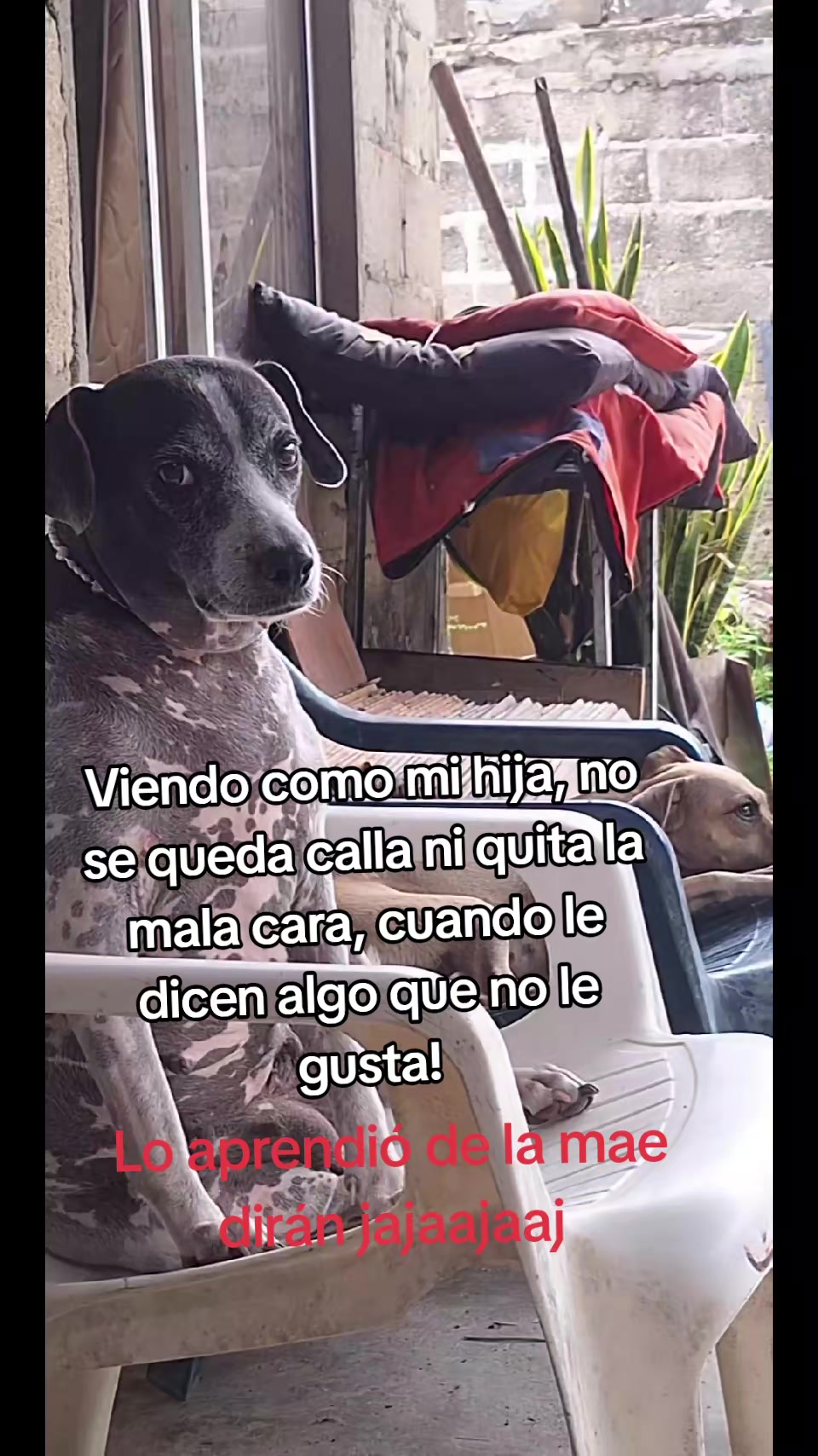 @MANCHAS 0714 OFICIAL