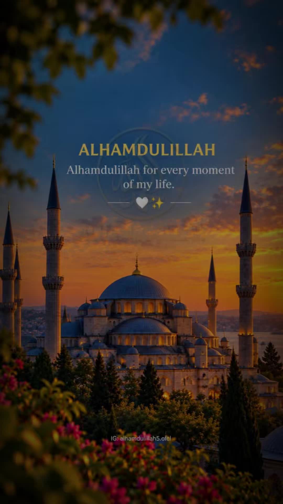 @Akleema
