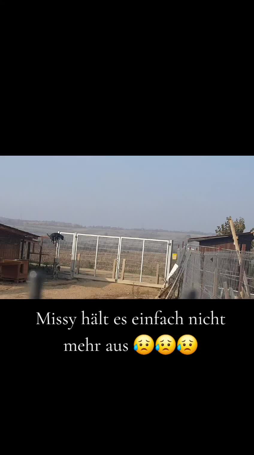 @Sevi