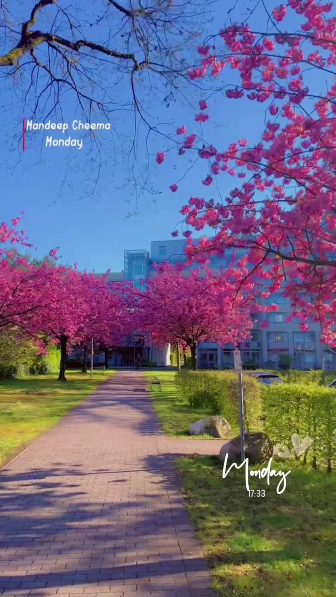 @mandeepcheema89