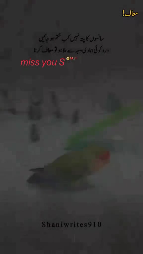 @معصوم پرندہ ظالم شکاری🦜🐦🥷