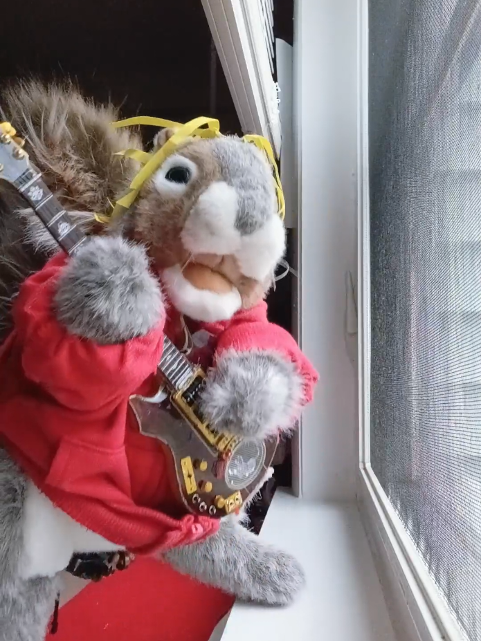 @Charles_TheSquirrel