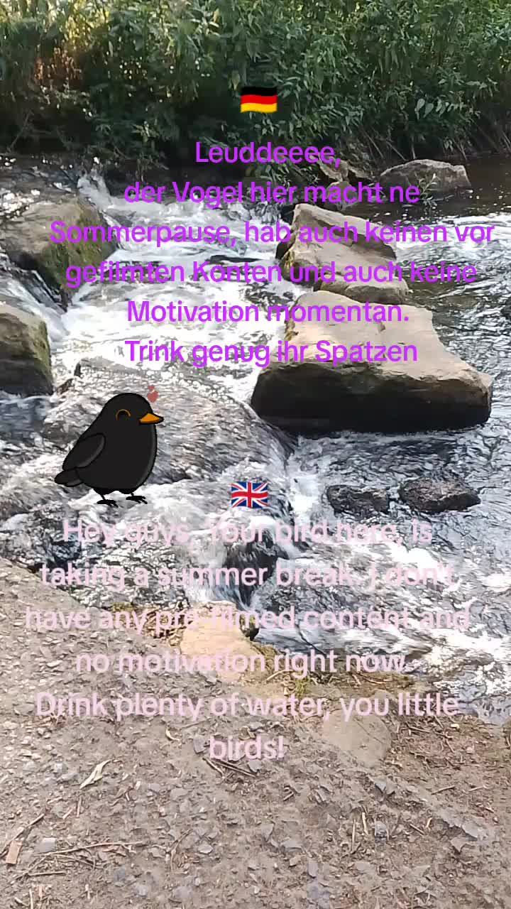 @⛧✮ℭ𝔞𝔩𝔩𝔰𝔦𝔤𝔫 𝔇𝔬𝔥𝔩𝔢✮⛧
