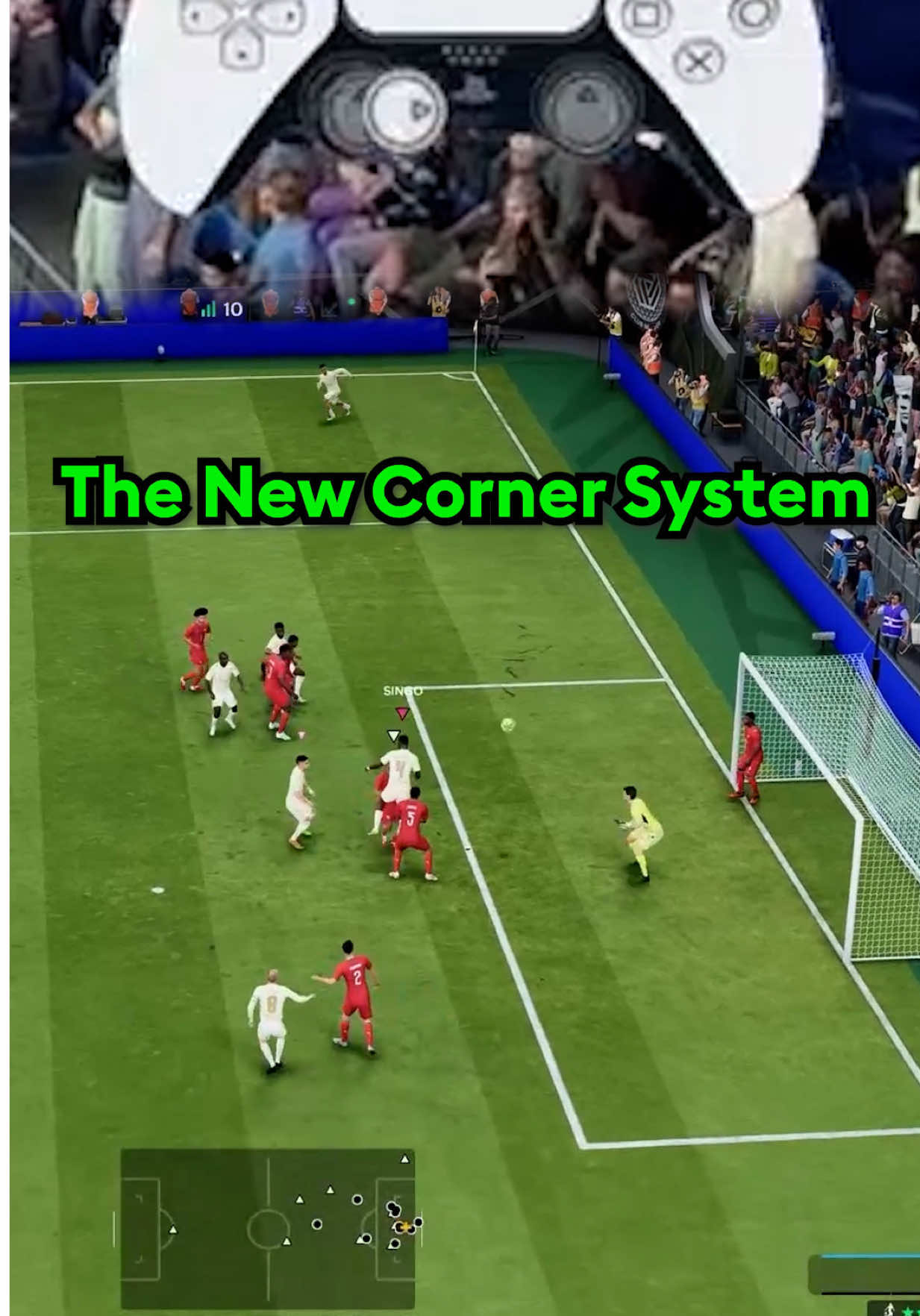 @THE GUIDE - FC Coaching