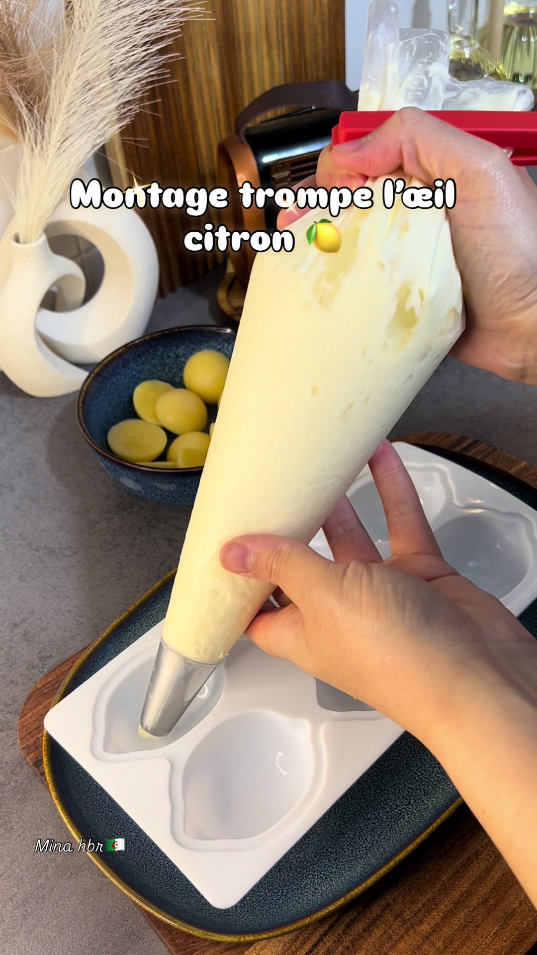@Mina.hbr