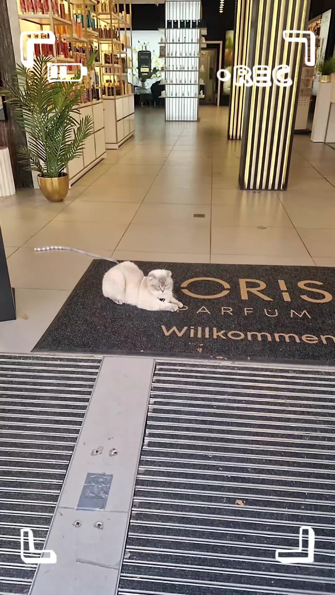 @loris Parf&uuml;m
