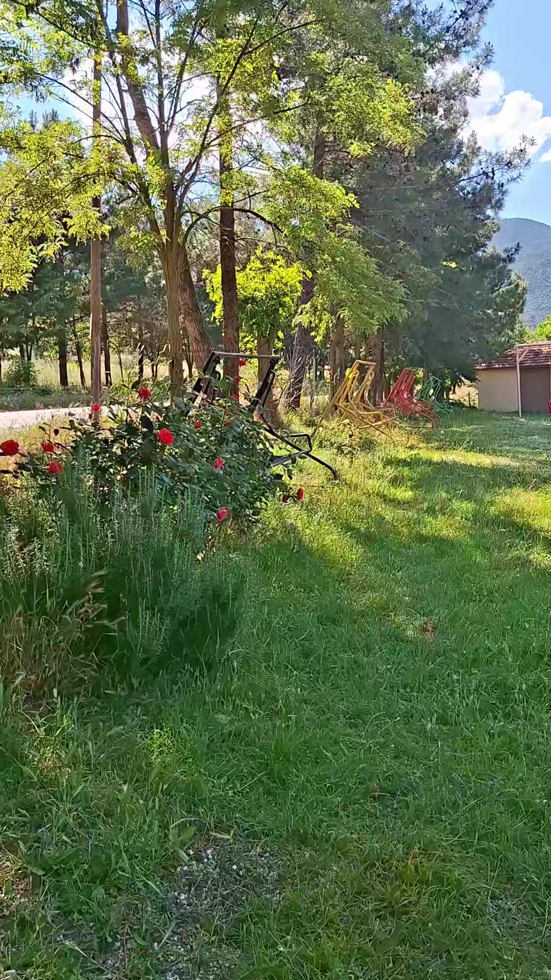@Tarkan Akkanat