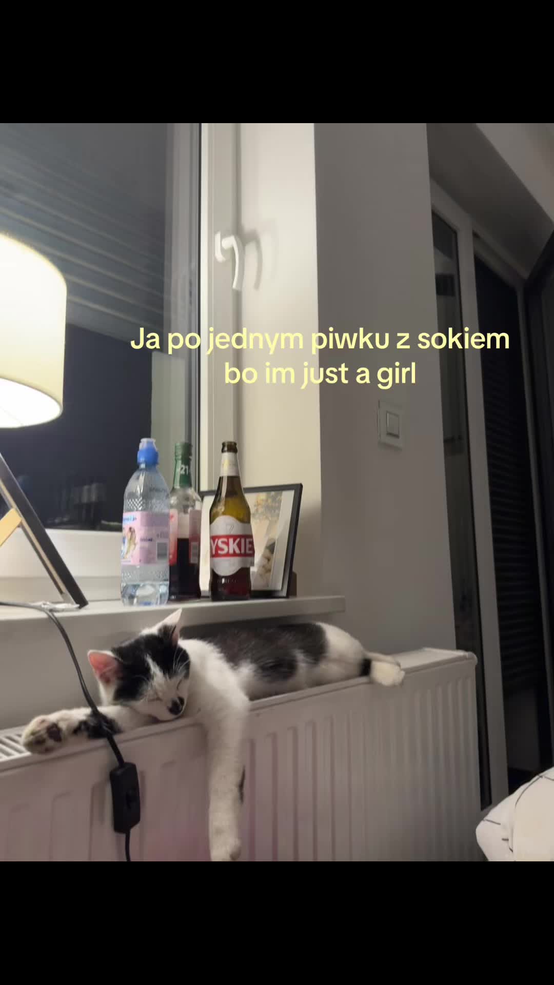 @ig:antkowiaak✨