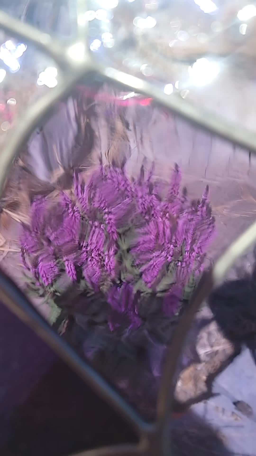 @CroftGlass