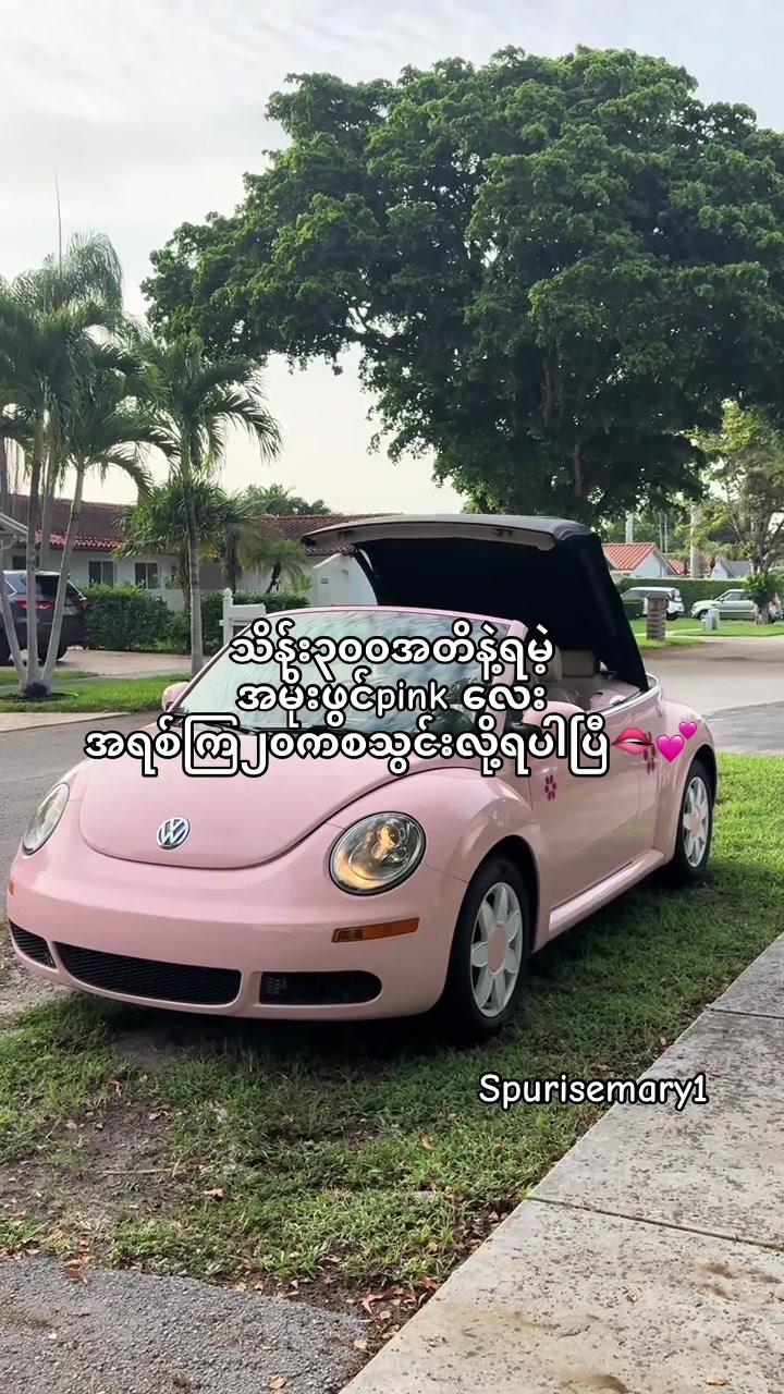 @โก ๐ฆ๐๐ซ๐ฒ ๏ธ