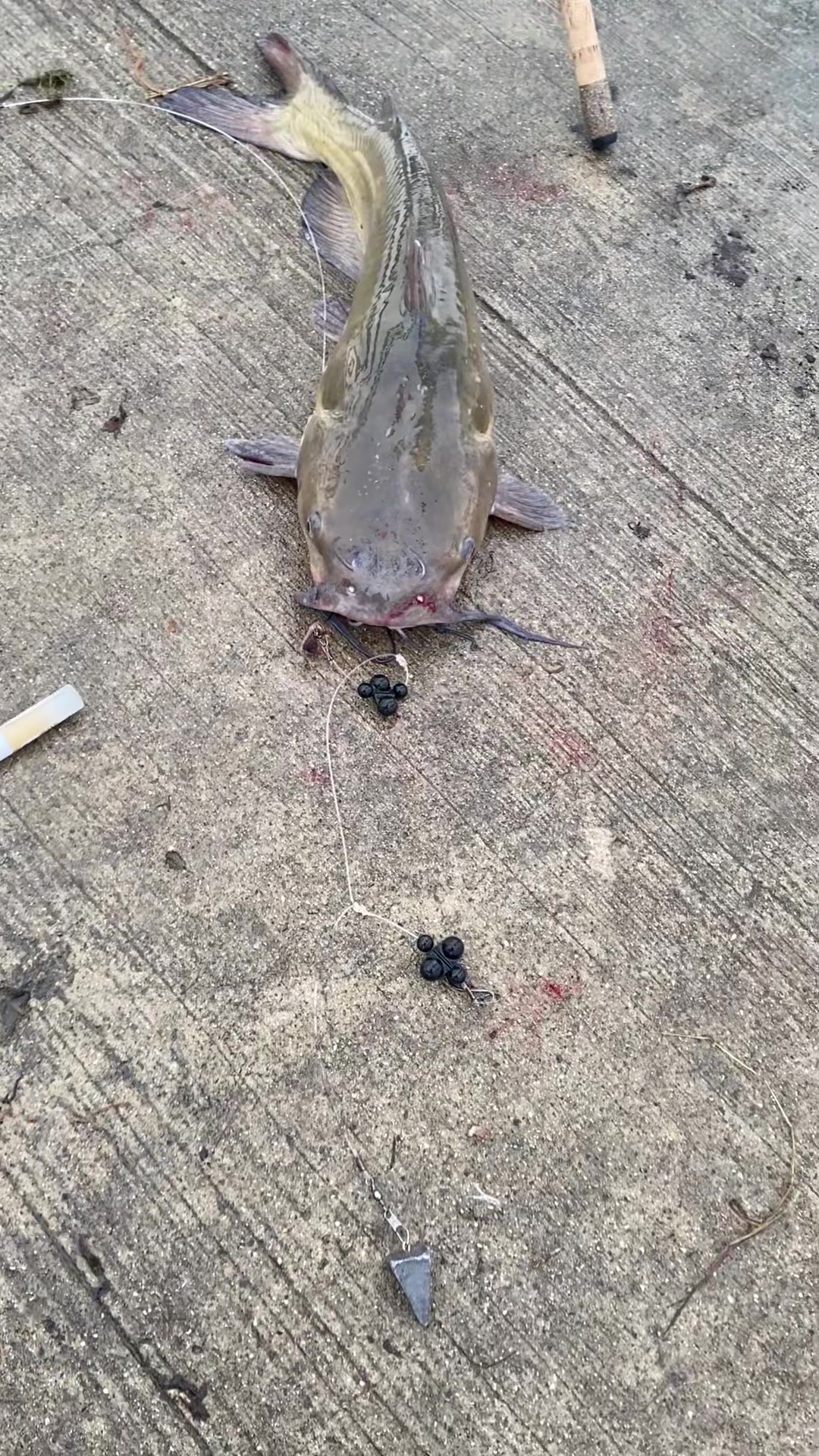 @Fishin with the Griffins