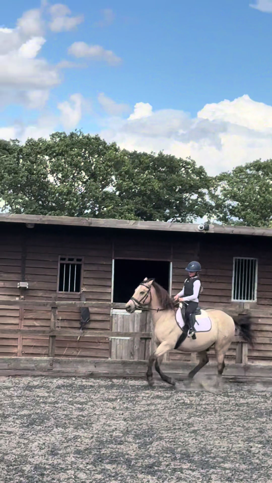 @Bronte&Alfie🍳🤎🐴