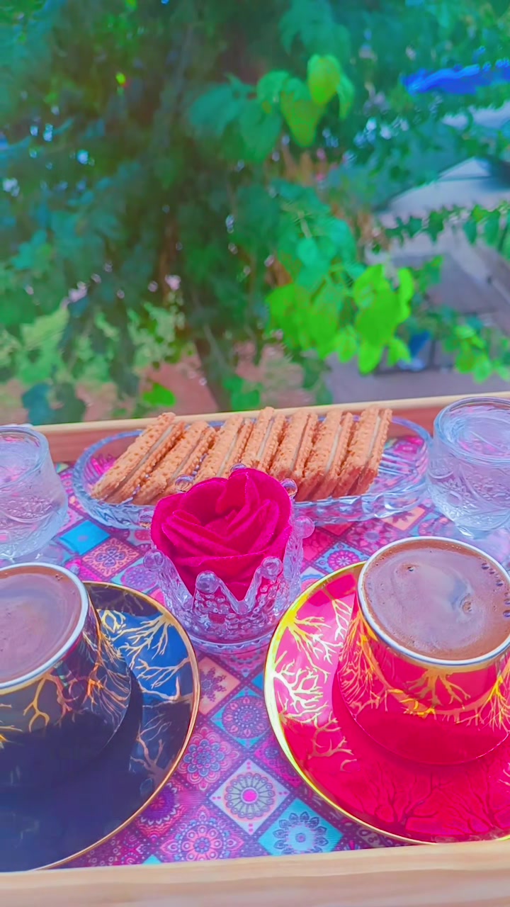 @☺️🌷زهرة حلب 🌷☺️