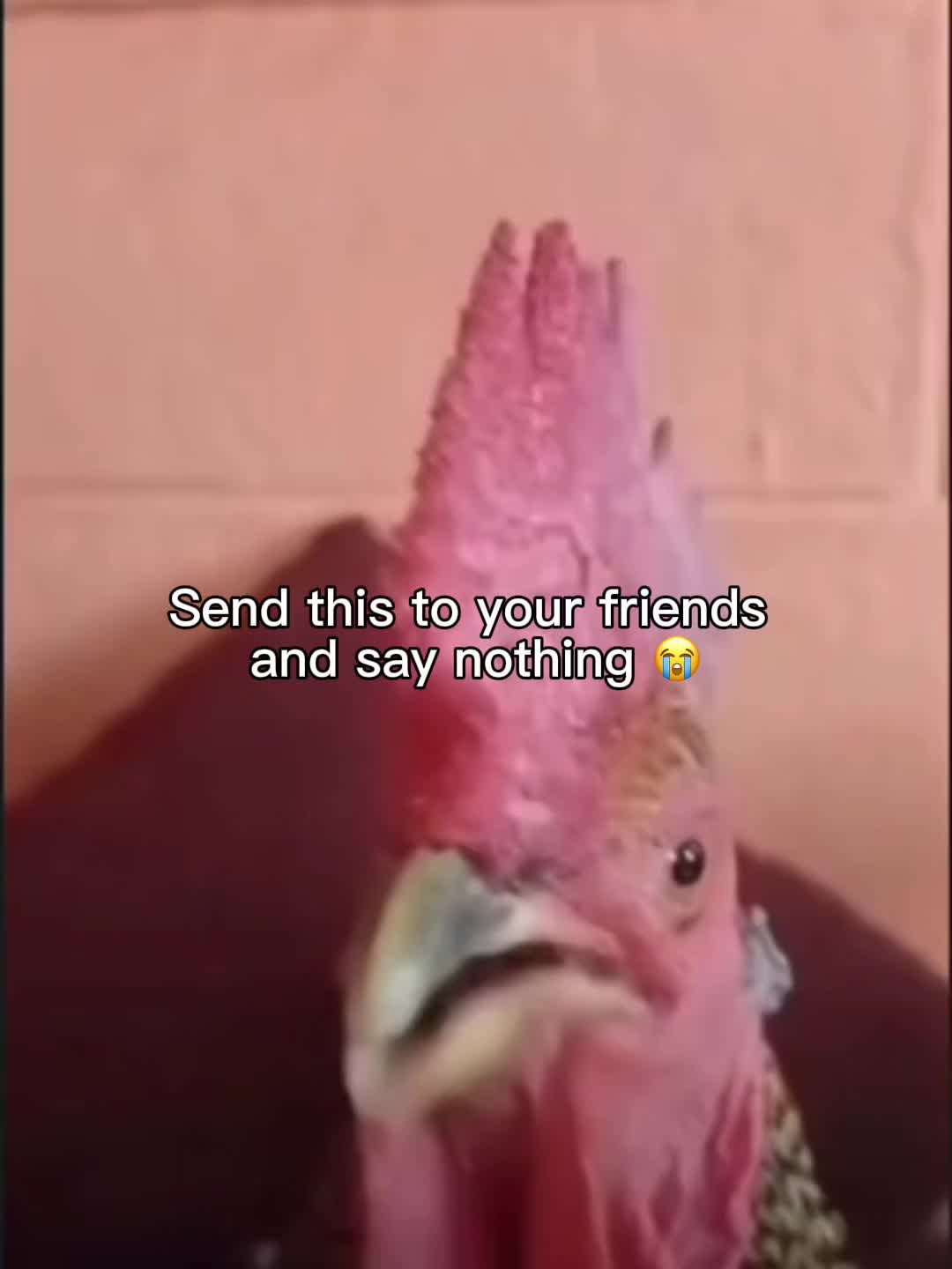 @✝️Spread the gospel✝️