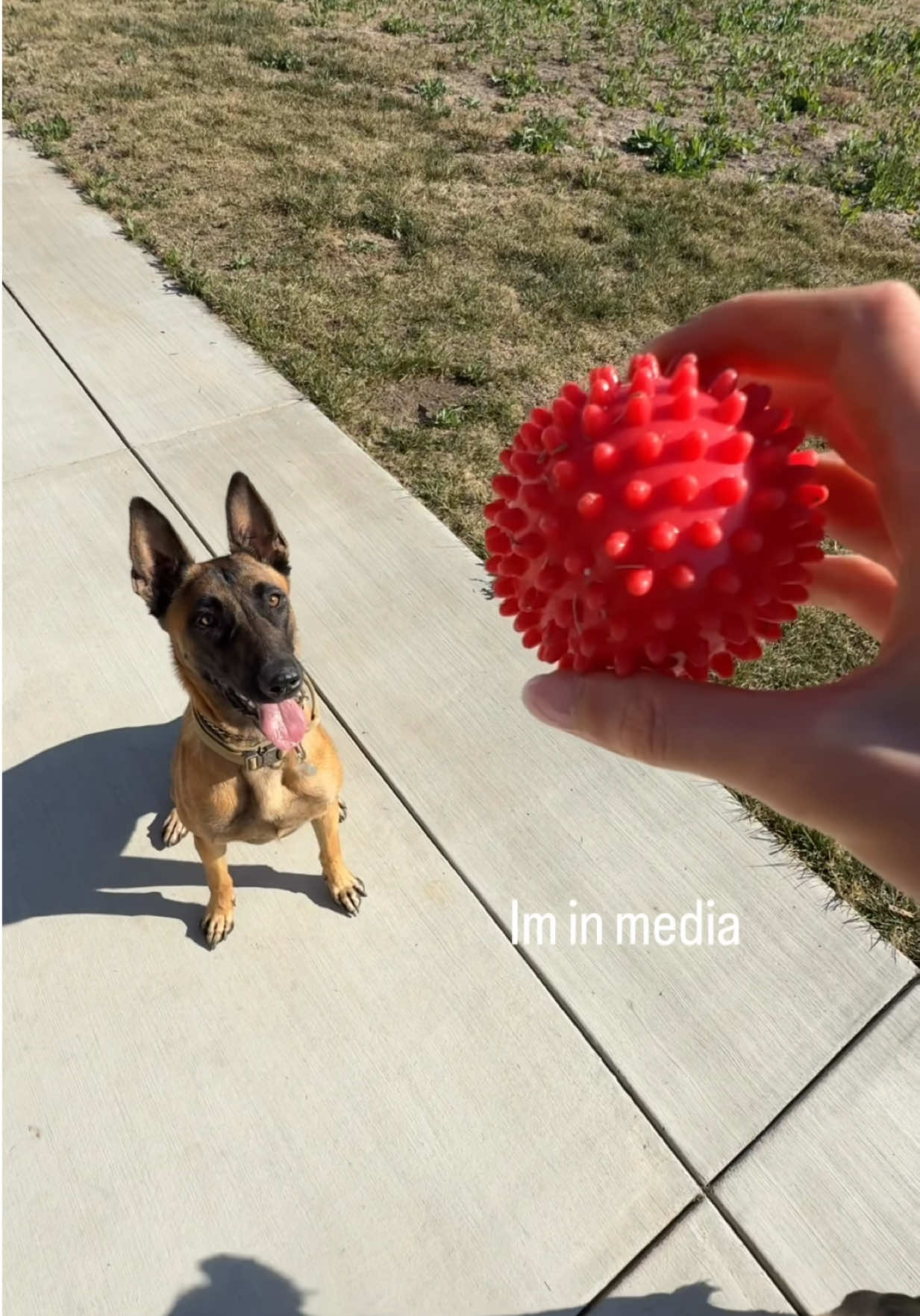 @Lilsipper