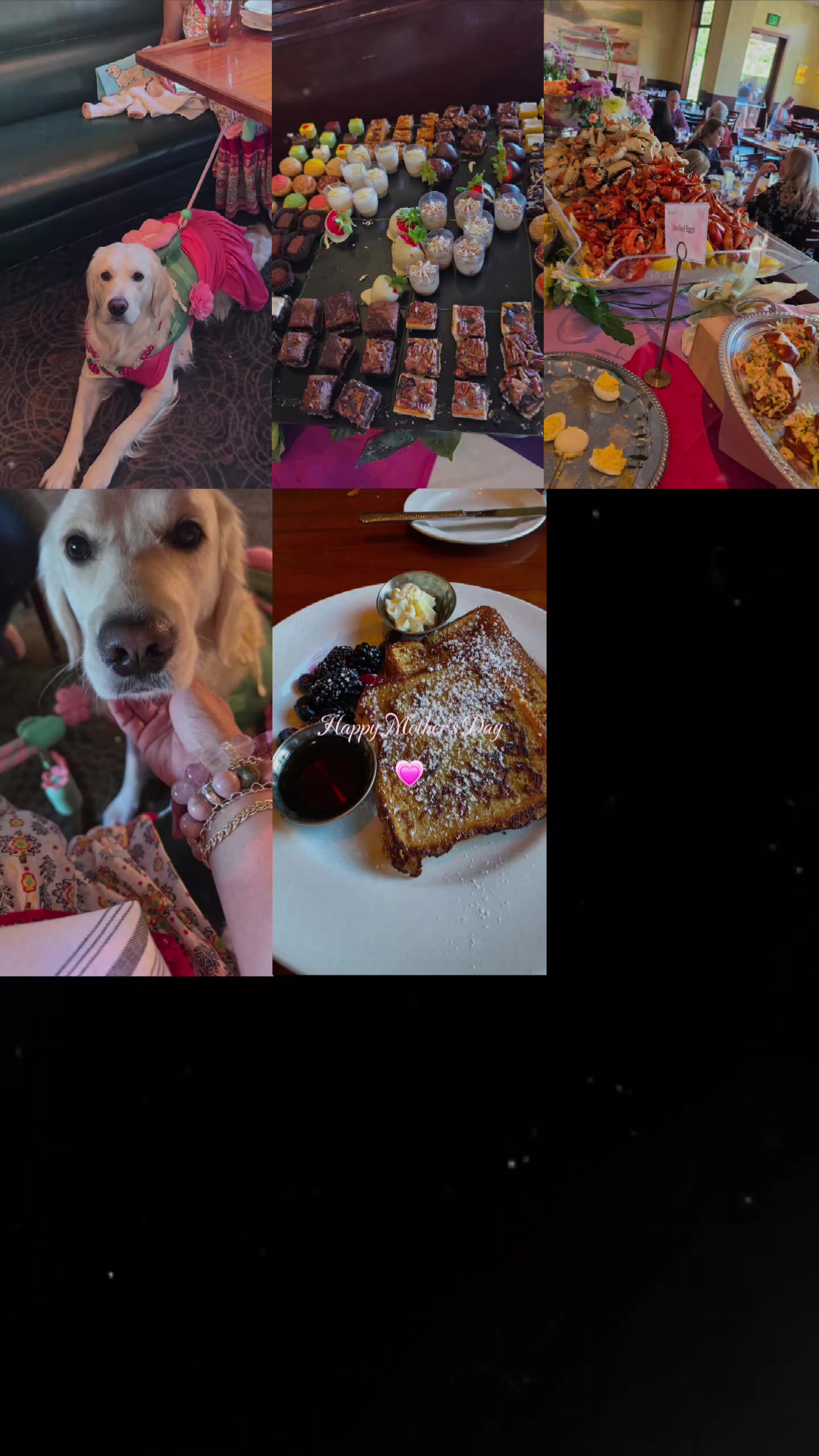 @DoggieMamaFurever&hearts;️🐶