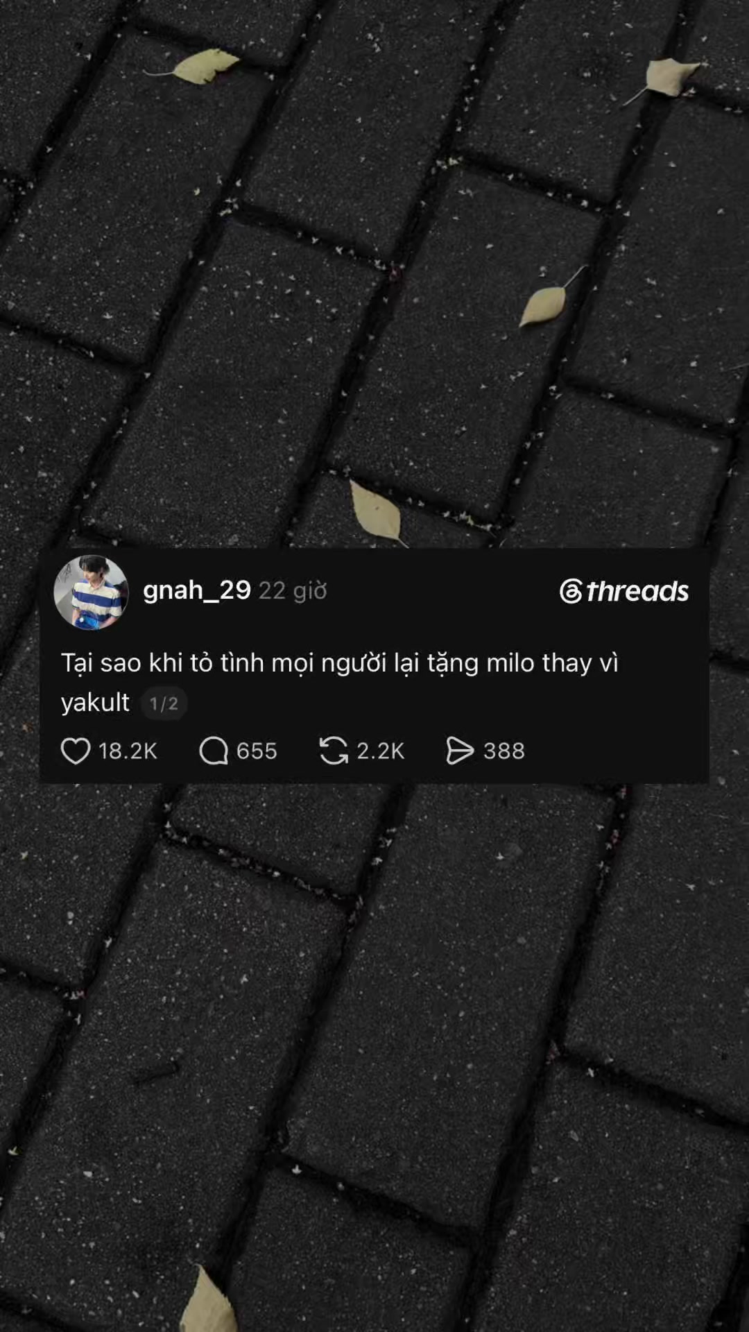 @Nằm vùng mxh 🤡