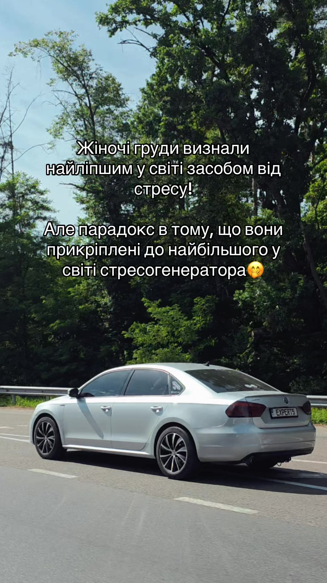 @_expert_5_