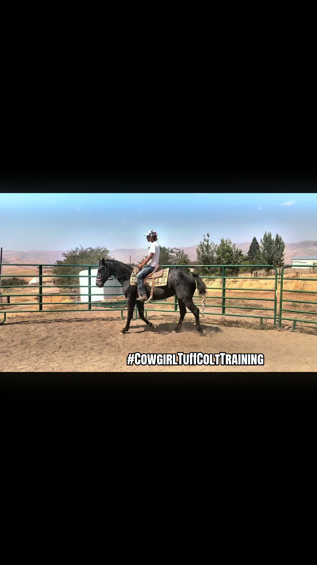@Cowgirl Tuff Colt Training ❤️