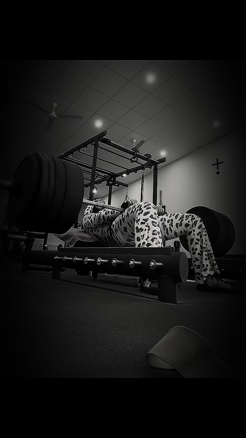@🐆TIGRESHA.3🐾