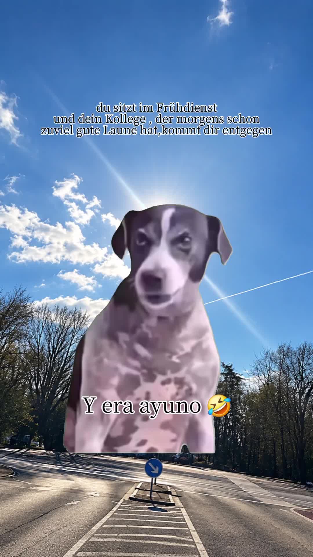 @gino