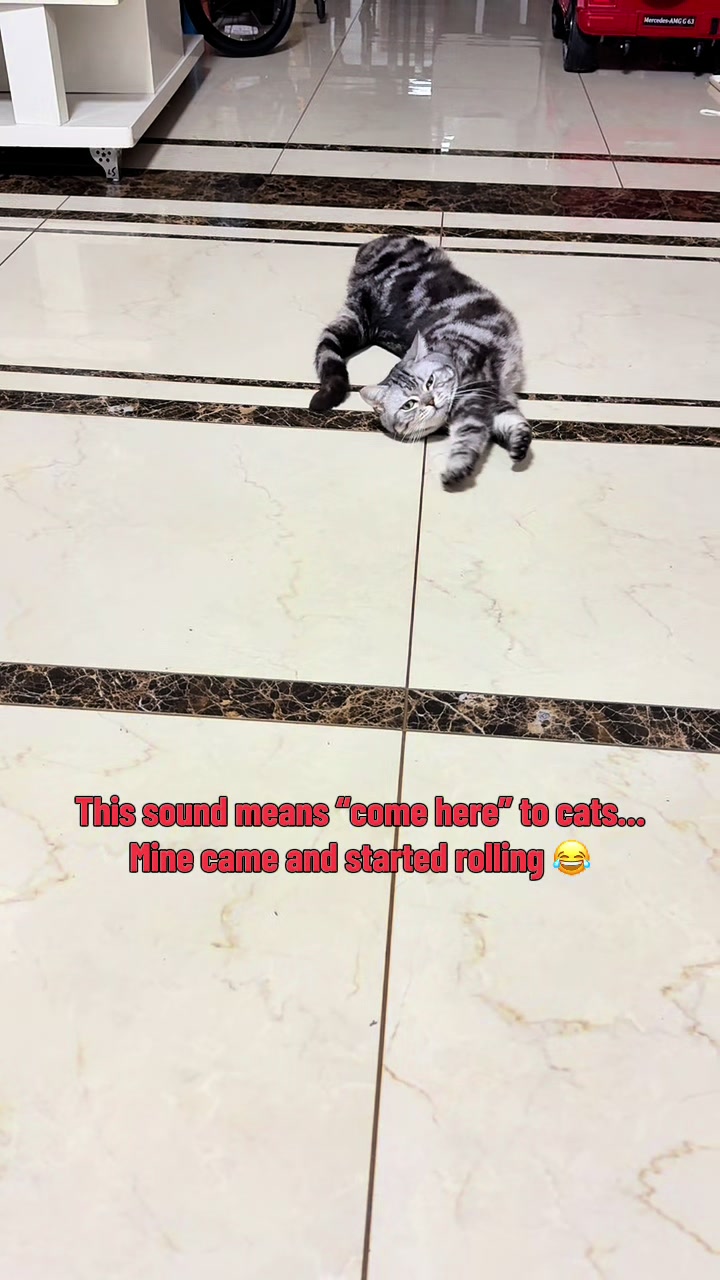 @catmi7