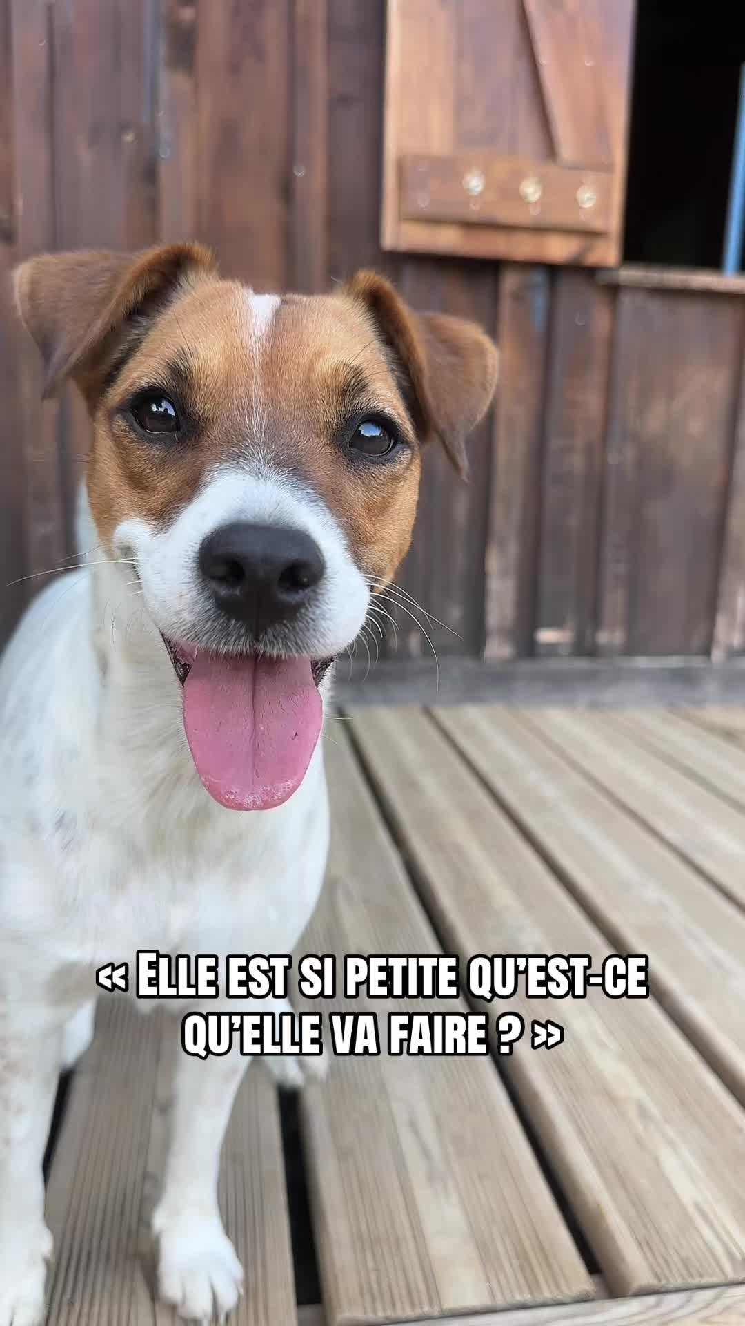 @8h04