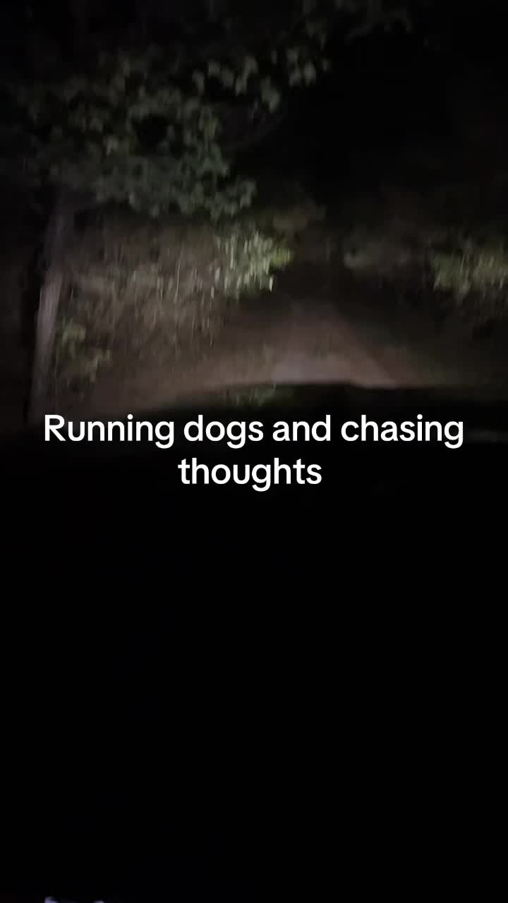 @3DeepKennels