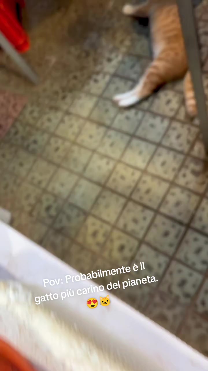@cuore.animale