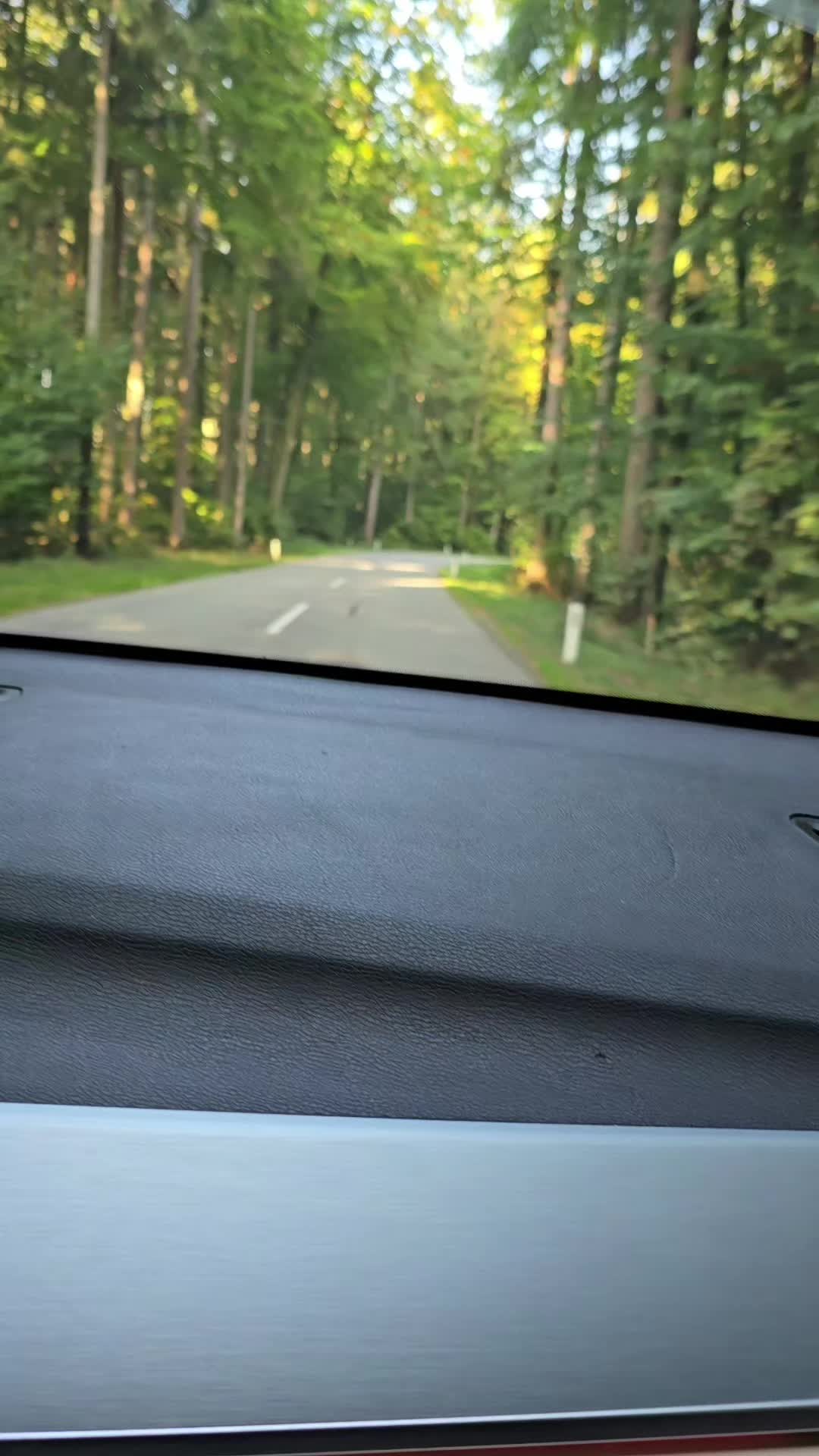 @rodi.rodriguez