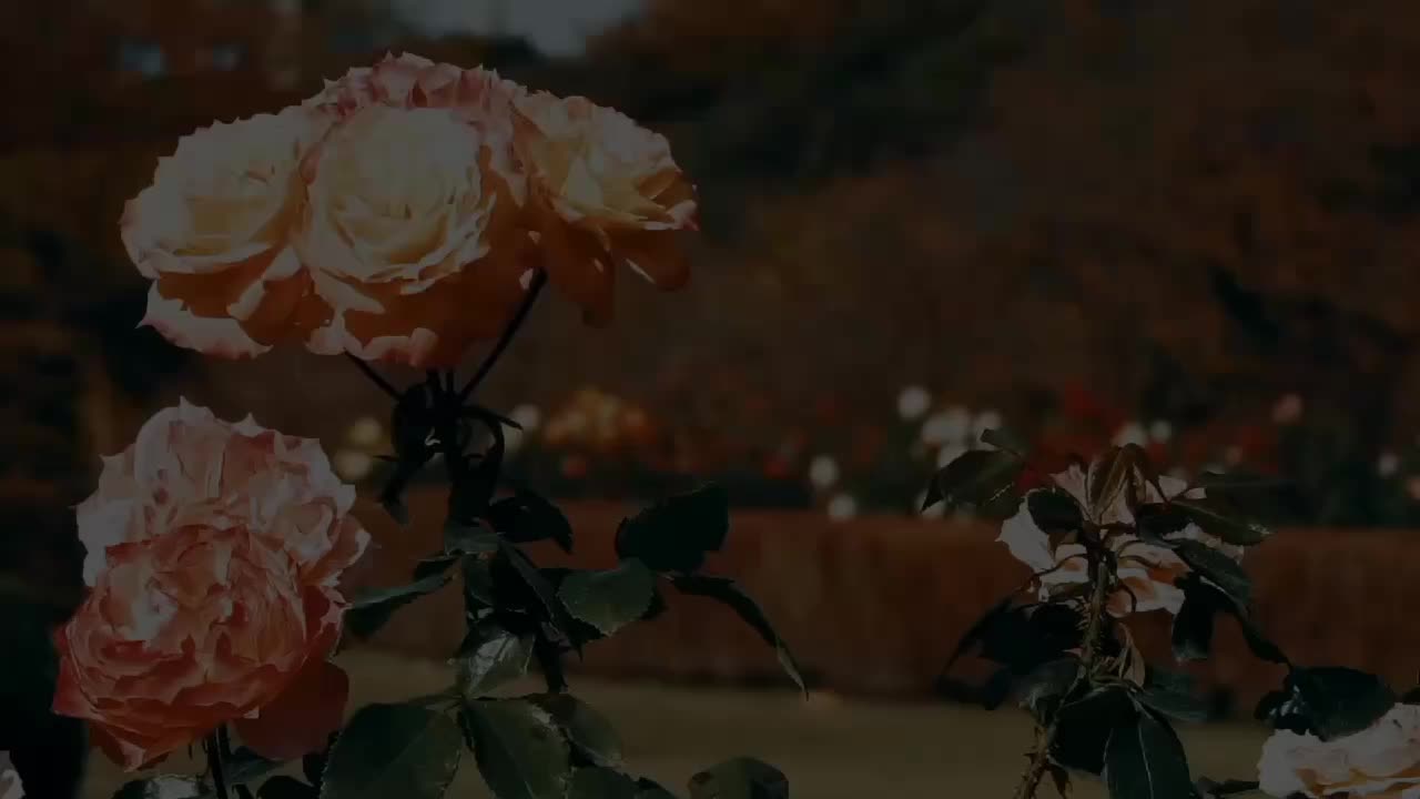 @ذكريات الزمن الجميل