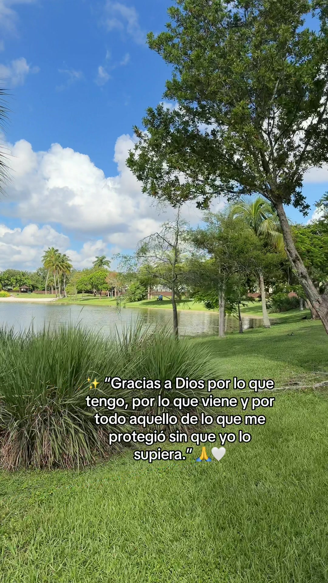 @Yessica fundora