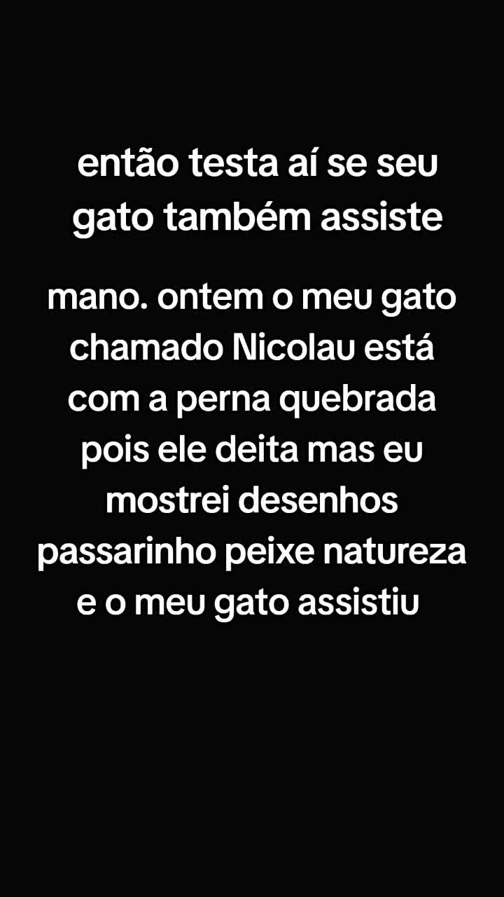 @joevim do Brasil