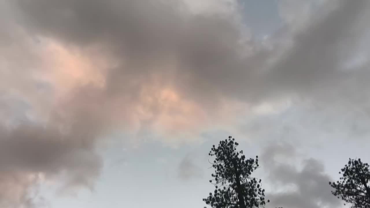 @ILikeCows🐄